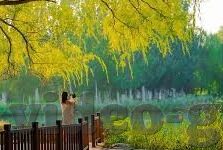 91糖心视频app下载-体验非凡娱乐，解锁91糖心视频应用新世界