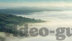 麻豆传媒在线观看传媒-麻豆传媒，透视网络传媒的新视角