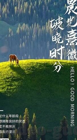 麻豆在视频线下载-麻豆在视频线上的下载，线上娱乐新风尚的探索