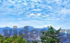 麻豆在线91-麻豆在线91，网络资源如何影响我们的审美趣向