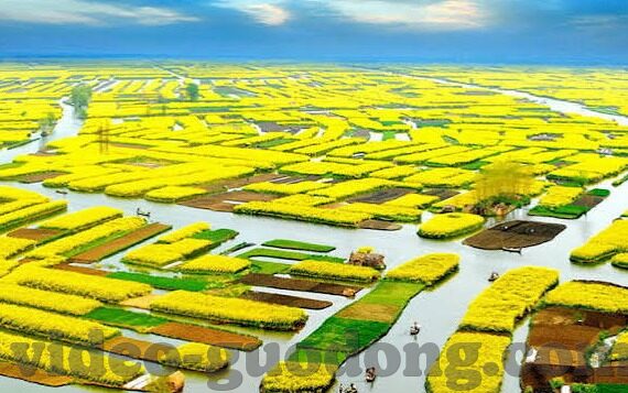 亚洲av乱码国产精品观看麻豆-追寻文化与艺术的多元展现，记一次亚洲视听盛宴